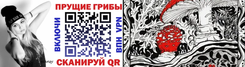 Галлюциногенные грибы Magic Shrooms  сколько стоит  Ленинск 